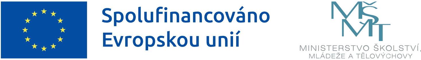 Spolufinancováno Evropskou unií MŠMT Ministerstvo školství, mládeže a tělovýchovy